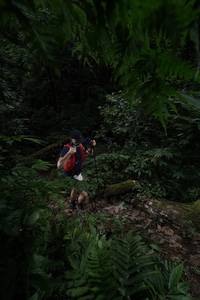 BIB: 5035
                            <button type="button" onclick="openModal(16029915)" class="btn btn-primary btn-sm float-right btn-popup" data-toggle="modal" data-target=".modal-high-quality">
                        <i class="fas fa-shopping-cart"></i> Add to Cart
                    </button>
                                            <button type="button" onclick="isThisMe(16029915, true)" class="btn btn-success btn-sm float-right btn-popup btn-isme hidden" data-toggle="tooltip" data-placement="bottom" title="นี่คือรูปของคุณใช่ไหม คลิกที่นี่เพื่อเอาเข้าอัลบั้ม">
                        <i class="fas fa-plus"></i> Add to album
                    </button>
                    <button type="button" onclick="isThisMe(16029915, false)" class="btn btn-warning btn-sm float-right btn-popup btn-isnotme hidden">
                        <i class="fas fa-ban"></i> Remove from album
                    </button>